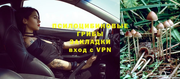 эйфоретик Алексин