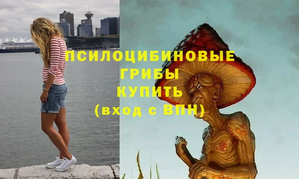 эйфоретик Алексин