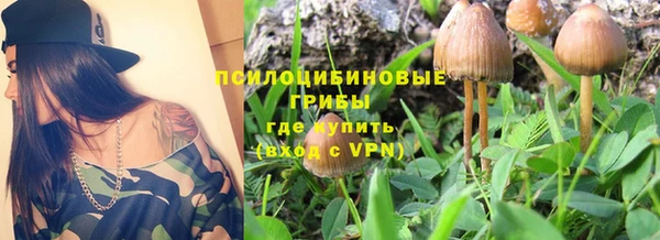 круглые Алексеевка